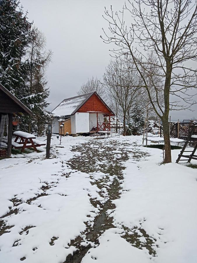 Agroturystyka Pod Sniezna Bystrzyca Kłodzka Extérieur photo