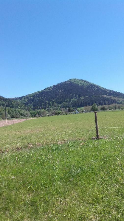 Agroturystyka Pod Sniezna Bystrzyca Kłodzka Extérieur photo