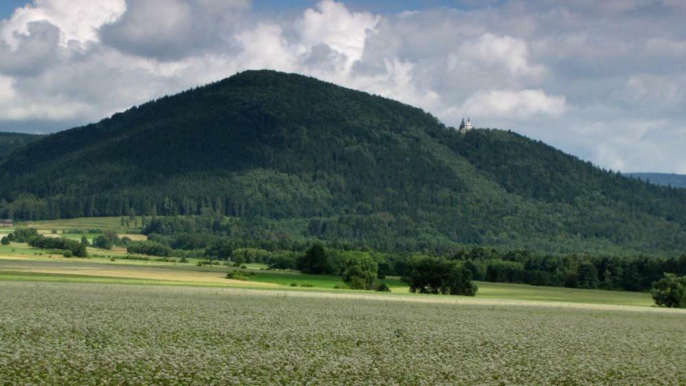 Agroturystyka Pod Sniezna Bystrzyca Kłodzka Extérieur photo