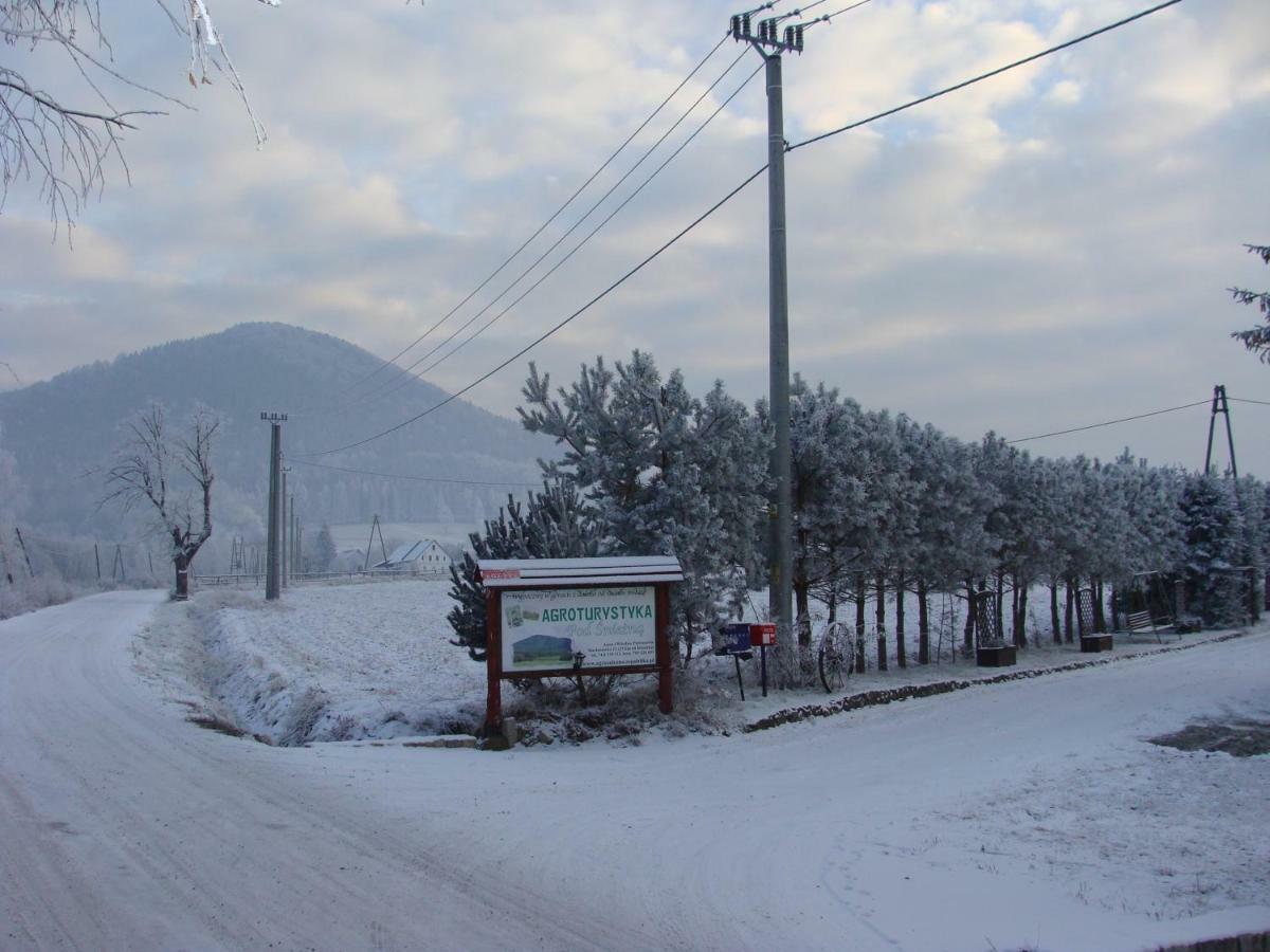 Agroturystyka Pod Sniezna Bystrzyca Kłodzka Extérieur photo